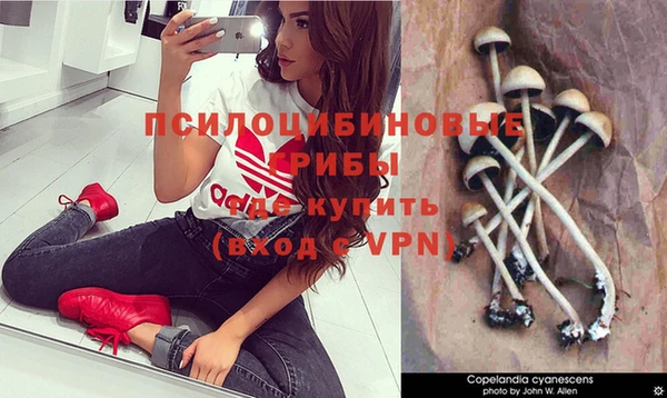 apvp Аркадак