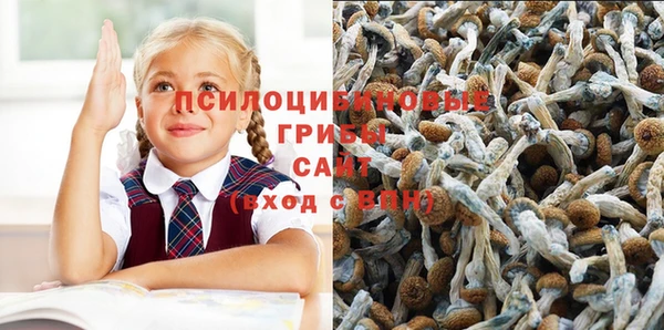шишки Армянск