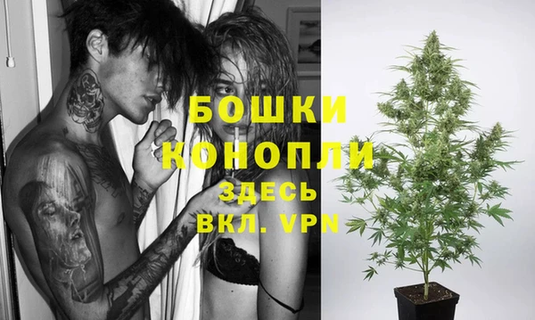apvp Аркадак