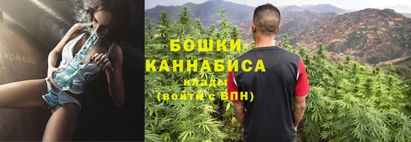 шишки Армянск