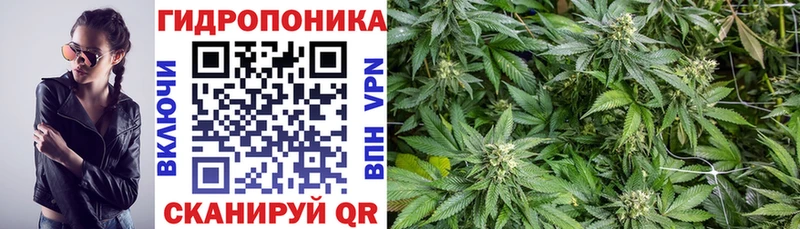 Бошки марихуана план  Кологрив 